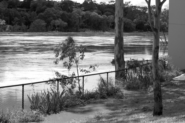 Flooded River Bank