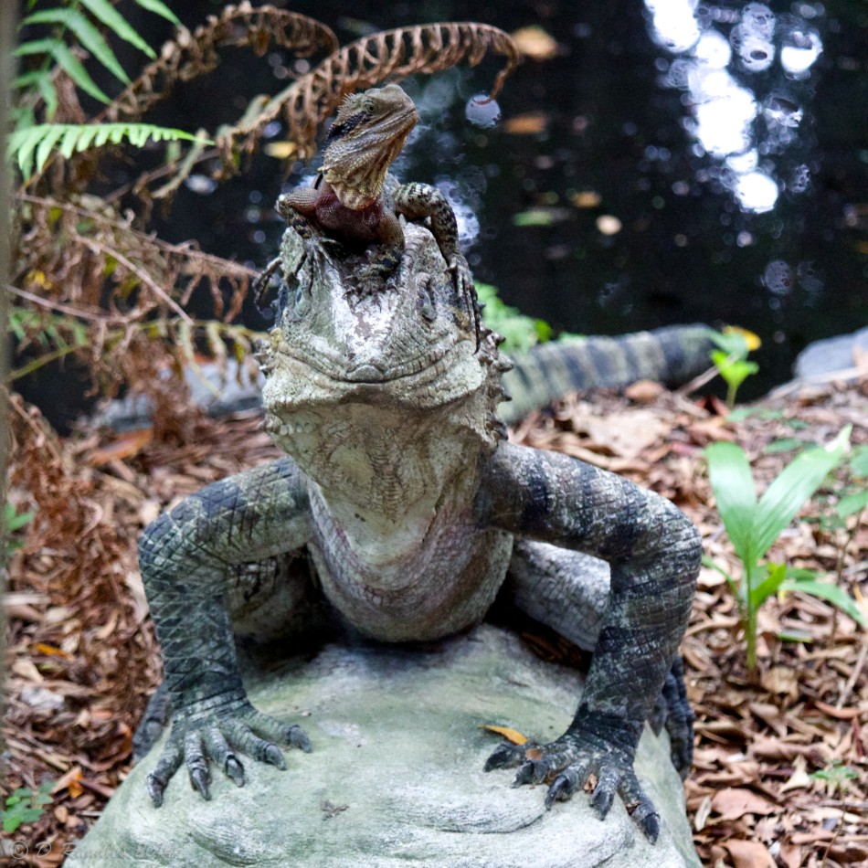 Lizard on lizard statue fractalthoughts