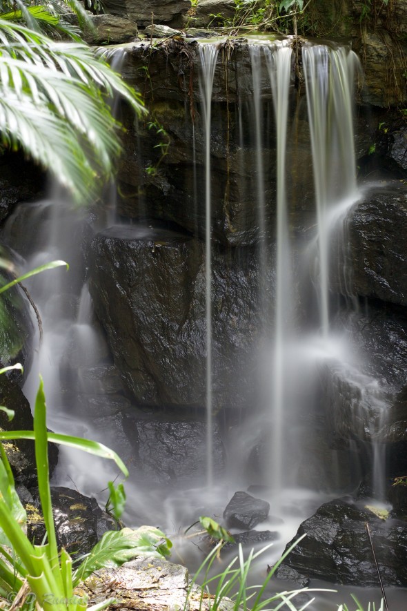 Silky Waterfall 001